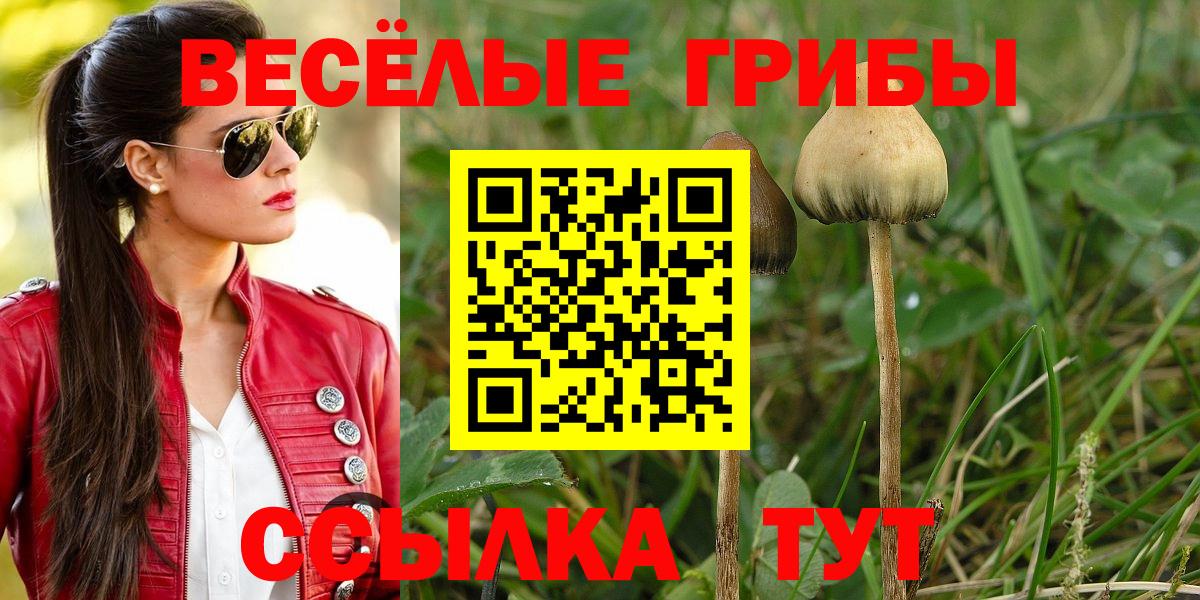 Грязи  Псилоцибиновые грибы Psilocybe  Псилоцибиновые грибы Psilocybine cubensis  Вход с VPN 