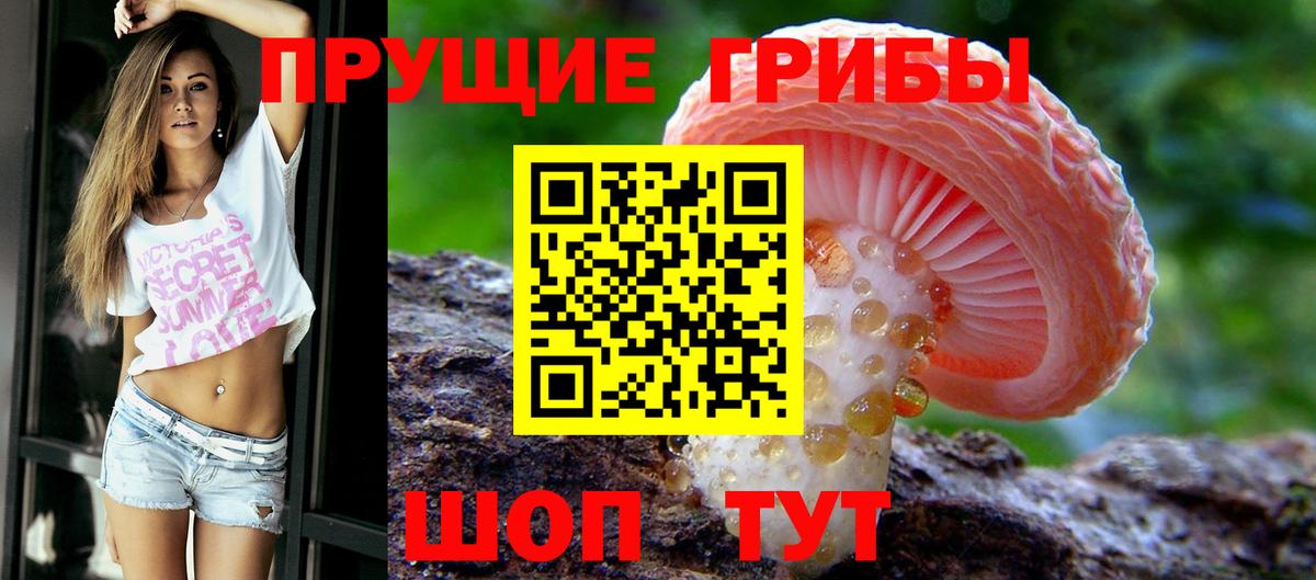 Псилоцибиновые грибы Psilocybine cubensis Грязи